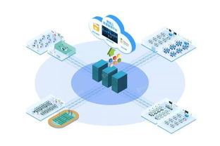 锐取带你探秘重庆 网红城市中的智能教育新风尚